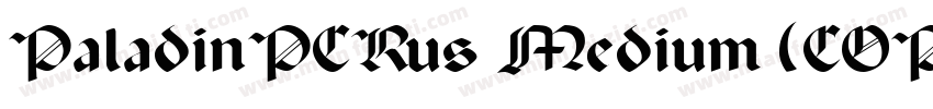 PaladinPCRus Medium (COPY 2)字体转换